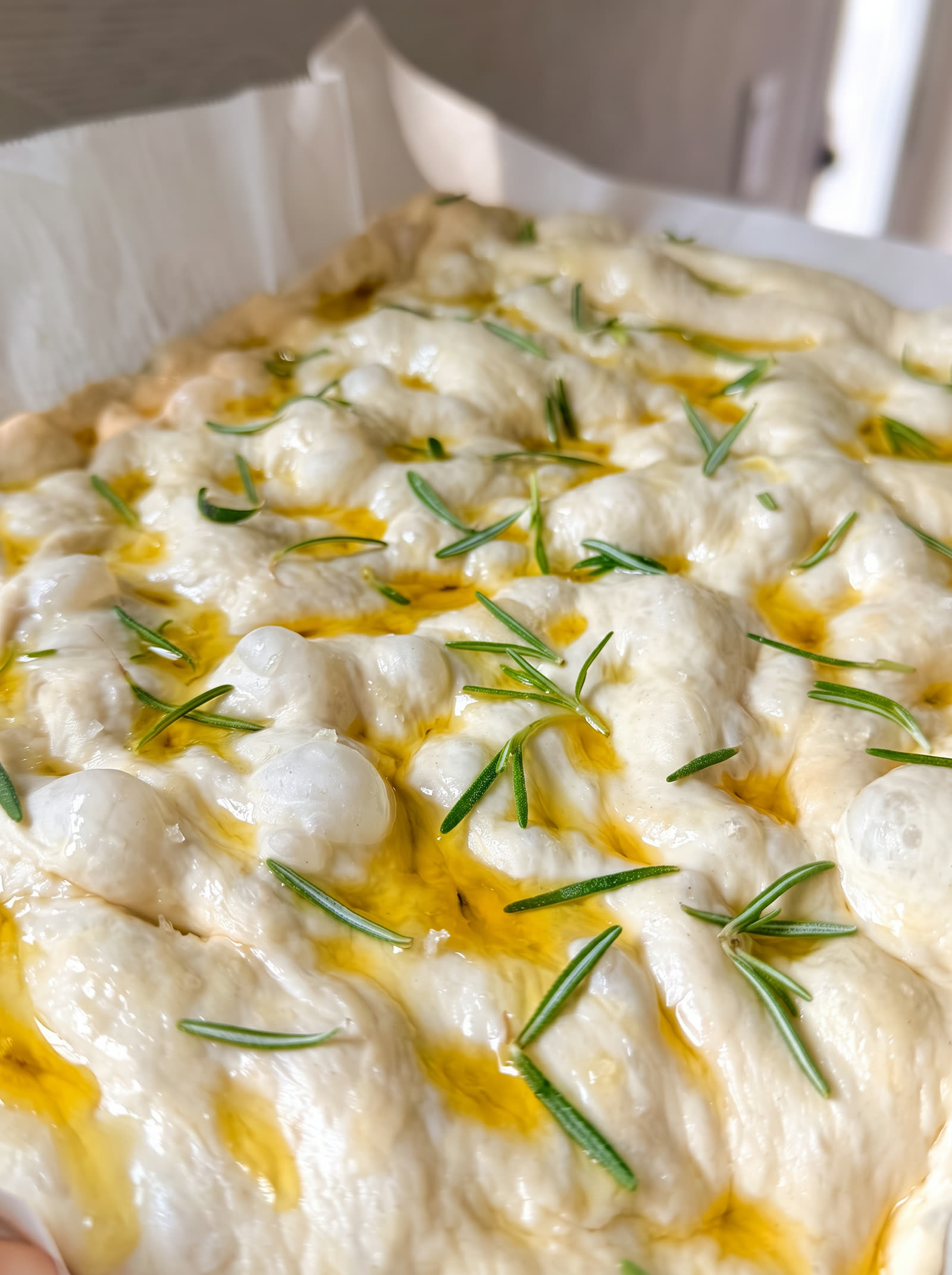 Focaccia dough proofing with olive oil pools and fresh rosemary